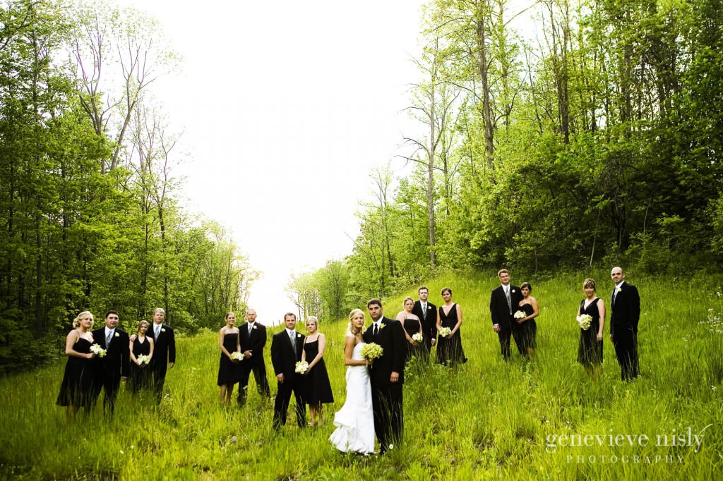  Akron, Blue Heron, Copyright Genevieve Nisly Photography, Ohio, Wedding