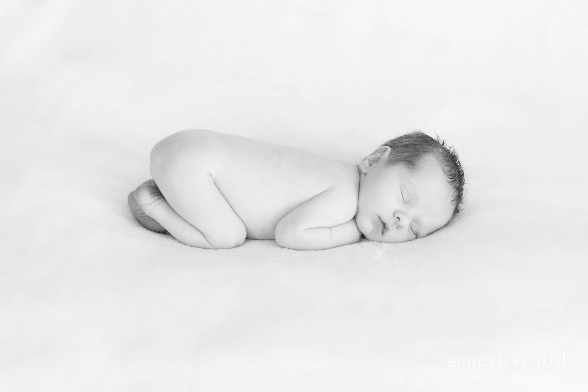  Baby, Copyright Genevieve Nisly Photography, Portraits