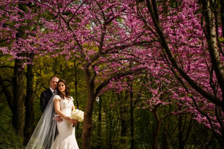 Bride and groom embracing under a cherry blossom tree at the Cleveland Cultural Gardens on their wedding day.