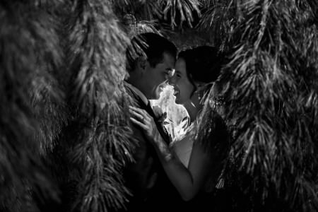 A black and white picture of a bride and groom smiling at each other while standing forehead to forehead in the middle of soft needled pine trees at the Bertram Inn in Ohio.
