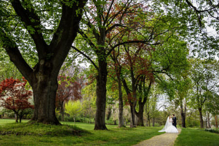 A bride in her billowy white gown with a long sheer veil stands with her groom in a black tuxedo on a gravel path surrounded by green grass and under tall trees that have both green and red foliage with tiny yellow fallen petals at the Canton Garden Center.