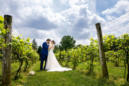 Wedding, Ohio, Canton, Gervasi Vineyard